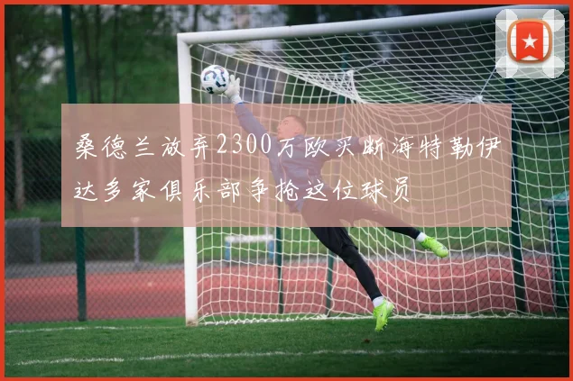 桑德兰放弃2300万欧买断海特勒伊达多家俱乐部争抢这位球员
